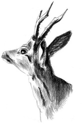 cours de dessin