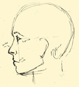 cours de dessin